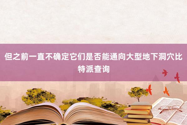 但之前一直不确定它们是否能通向大型地下洞穴比特派查询