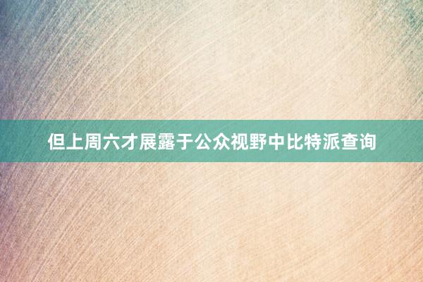 但上周六才展露于公众视野中比特派查询