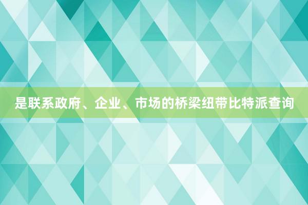 是联系政府、企业、市场的桥梁纽带比特派查询