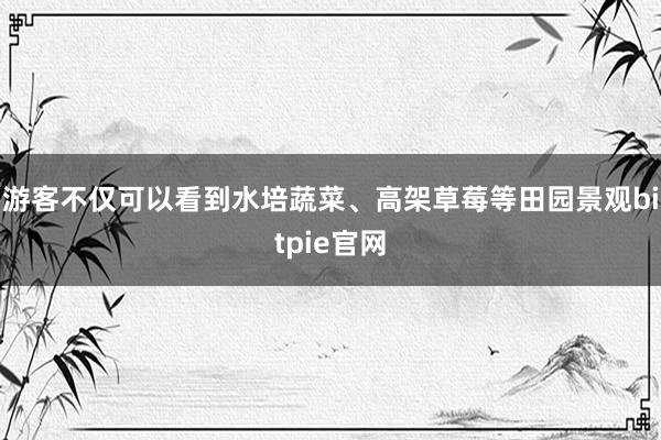 游客不仅可以看到水培蔬菜、高架草莓等田园景观bitpie官网