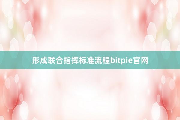 形成联合指挥标准流程bitpie官网