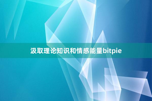 汲取理论知识和情感能量bitpie