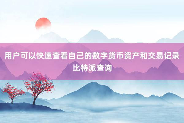 用户可以快速查看自己的数字货币资产和交易记录比特派查询