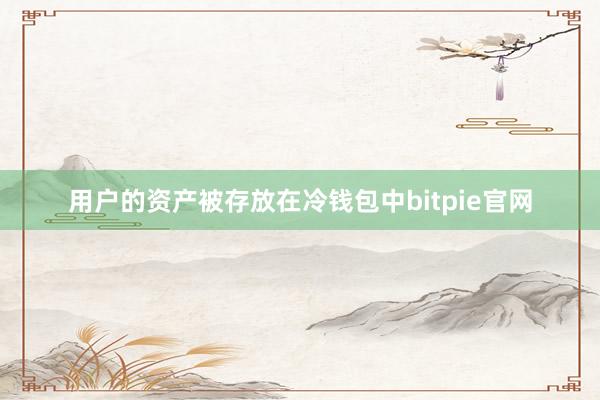 用户的资产被存放在冷钱包中bitpie官网