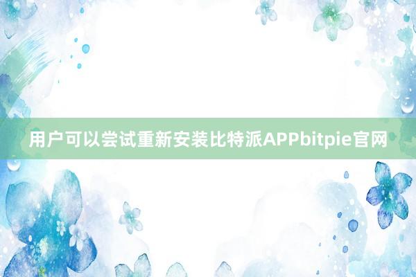 用户可以尝试重新安装比特派APPbitpie官网