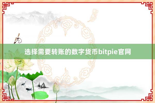 选择需要转账的数字货币bitpie官网