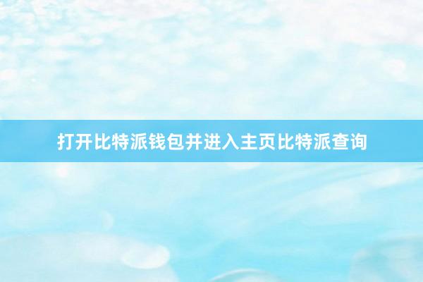 打开比特派钱包并进入主页比特派查询