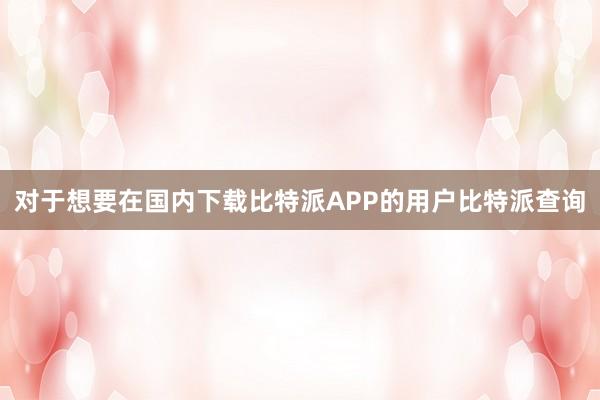 对于想要在国内下载比特派APP的用户比特派查询