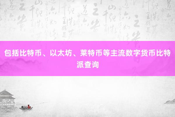 包括比特币、以太坊、莱特币等主流数字货币比特派查询