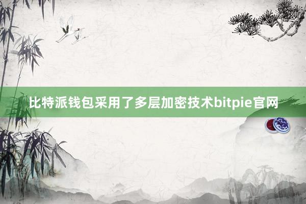 比特派钱包采用了多层加密技术bitpie官网