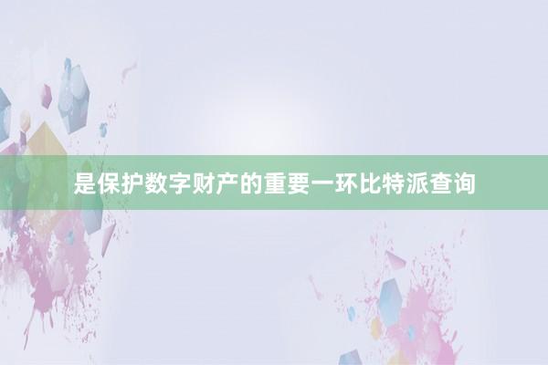 是保护数字财产的重要一环比特派查询