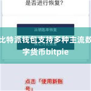 比特派钱包支持多种主流数字货币bitpie