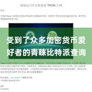 受到了众多加密货币爱好者的青睐比特派查询