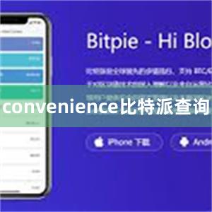 convenience比特派查询