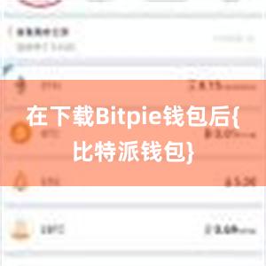 在下载Bitpie钱包后{比特派钱包}