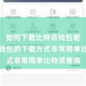 如何下载比特派钱包呢？比特派钱包的下载方式非常简单比特派查询