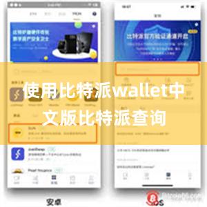 使用比特派wallet中文版比特派查询